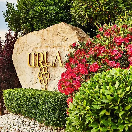 Two Urla