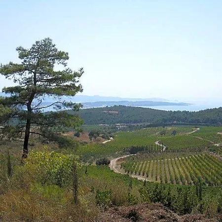 Two 3* Yağcılar