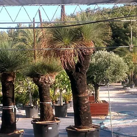 Two ホテル Yağcılar
